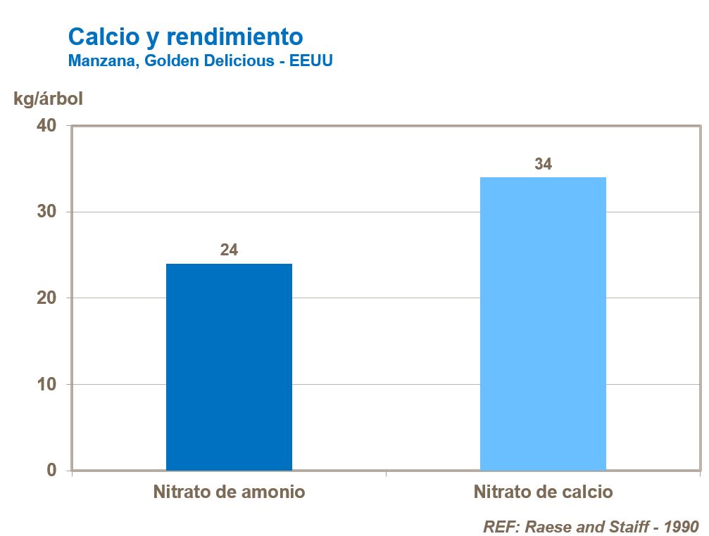 Calcio y rendimiento