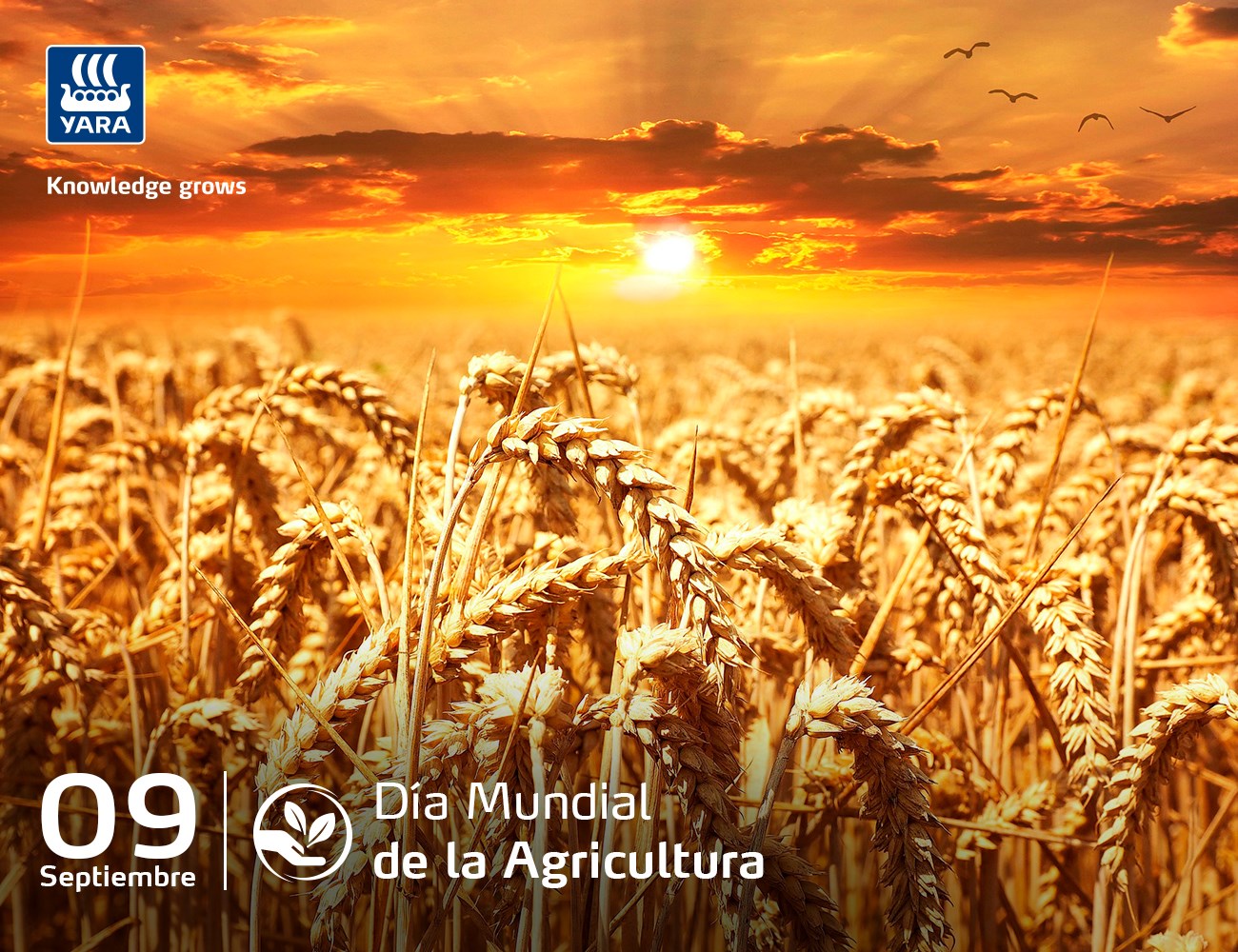 Día mundial de la agricultura