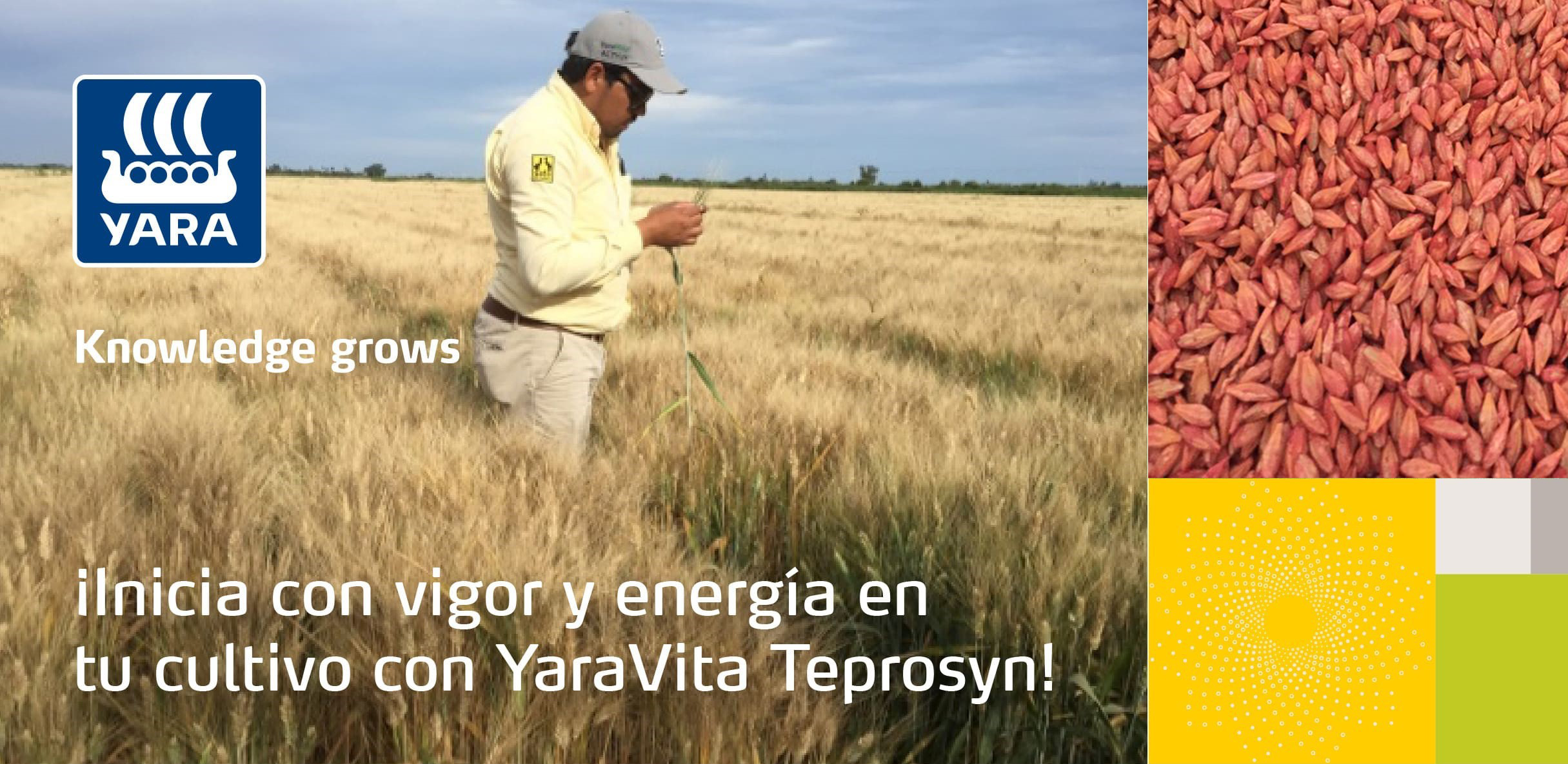 YaraVita Teprosyn